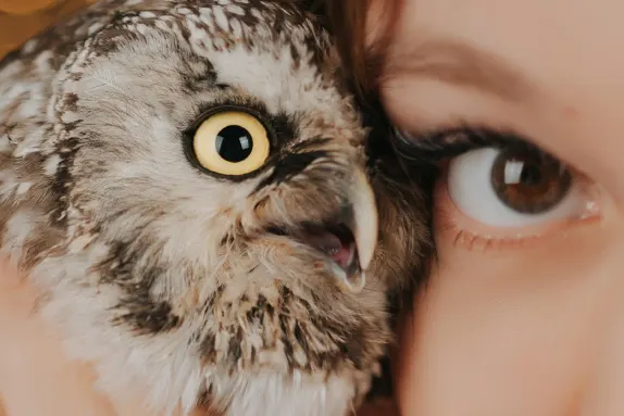 קזינו רויאל וינר תמיכה